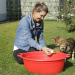 Anna und die Haustiere