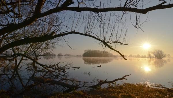 Bild 1 von 2: Sonnenaufgang am Bölsdorfer Haken bei Tangermünde. Die überschwemmten Elbauen sind die Heimat von Bibern, Fischottern und Kranichen.