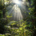 Ein perfekter Planet: Sonne