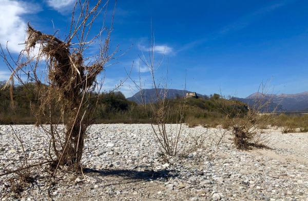 Bild 1 von 12: Der Tagliamento - König der Alpenflüsse