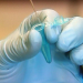 Medical Detectives - Geheimnisse der Gerichtsmedizin