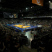 Volleyball Live - Bundesliga