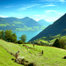 Der Vierwaldstättersee