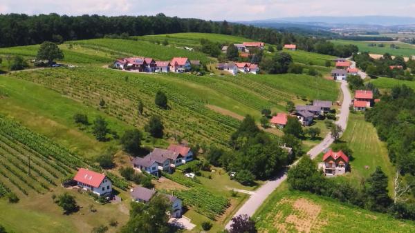 Bild 1 von 7: Im Bild. Weinidylle Südburgenland.