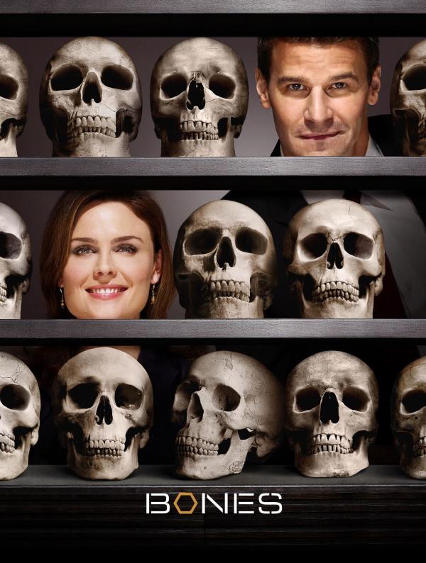 Bild 1 von 9: Bones - Die Knochenjägerin - Artwork