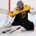 Eishockey Live - Deutschland Cup