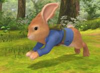 Peter Hase