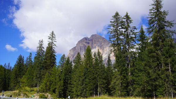 Bild 1 von 7: .