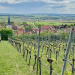 Die Haßberge