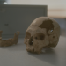 Humans - Geschichte der Menschheit