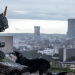 Chappie