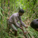 Die Bambusflößer von Bangladesch