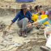 Geheimnisse der Jurassic-Saurier