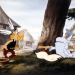 Asterix - Operation Hinkelstein