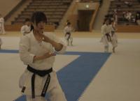 Shinkansen: Der pünktlichste Zug der Welt