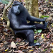 Geheimnisvolles Asien: Sulawesi