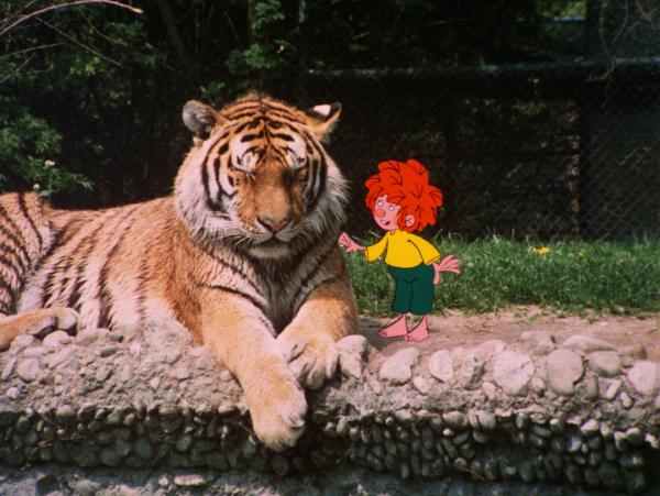 Bild 1 von 5: Meister Eder und Pumuckl gehen in den Zoo. Die vielen fremden Tiere sind neu und aufregend für den kleinen Kobold.