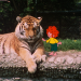 Meister Eder und sein Pumuckl