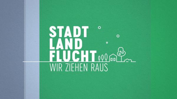 Bild 1 von 3: 