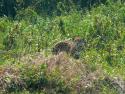 Abenteuer Wildnis