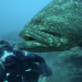 Chasing Monsters - Monsterfischen auf der Spur