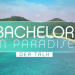 Bachelor in Paradise - Der Talk