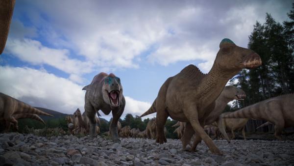 Bild 1 von 13: Im Alleingang bei der Jagd auf die Edmontosaurier gingen die Albertosaurus-Jugendlichen ein großes Risiko ein und liefen Gefahr, in der Stampede zu sterben.
