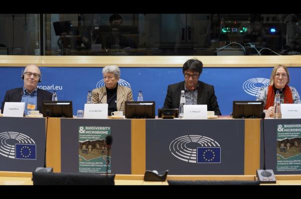 Bild 1 von 4: Kolloquium im Europäischen Parlament, Brüssel: Tari Haahtela (Allergologe ), Erika von Mutius (Kinderärztin), François Thiollet (Abgeordneter der Grünen/EFA), Dominique Vuitton (Immunologin, v.l.)
