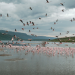 Abenteuer Kenia