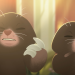 Belfort & Lupin - Die Hunde von Versailles
