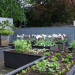 Alan Titchmarsh - Love your Home & Garden