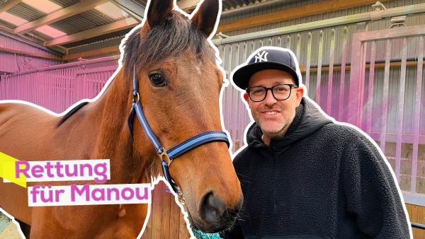 Bild 1 von 1: Ben besucht das Projekt Pferdeklappe und trifft Pferd Manou.