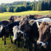Bayern erleben