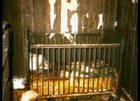 Medical Detectives - Geheimnisse der Gerichtsmedizin