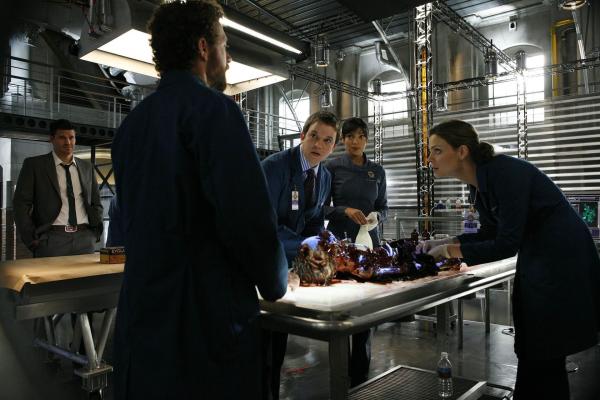 Bild 1 von 12: (v.l.n.r.) Booth (David Boreanaz); Dr. Hodgins (T.J. Thyne); Dr. Addy (Eric Millegan); Camille Saroyan (Tamara Taylor); Dr. Brennan (Emily Deschanel)