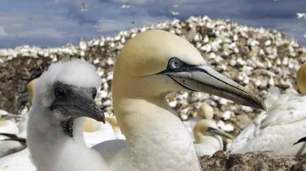 Bild 1 von 5: Weitere Fotos auf Anfrage.