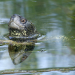 Das Havelland - Naturoase im Herzen Brandenburgs