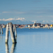 Wildes Venedig