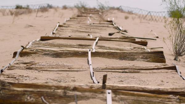 Bild 1 von 4: Konnte diese Straße nur aus Holz in der Wüste Arizonas überhaupt nutzbar sein oder war ihr Bau letztlich reine Zeitverschwendung?