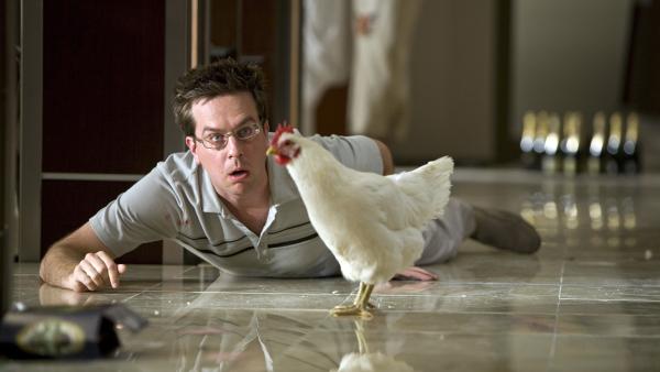 Bild 1 von 9: Stu (ED HELMS) fragt sich, warum ein Huhn im Hotelzimmer rumläuft..