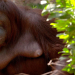 Hotspots der Tierwelt