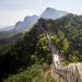 Immer an der Mauer lang