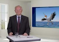 Gemeindehilfsbund TV