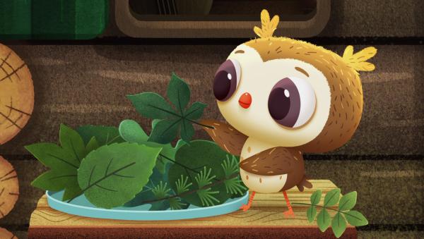 Bild 1 von 1: Odo ist sich unsicher, ob er die Blätter zum richtigen Baum zugeordnet hat.