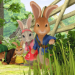 Peter Hase