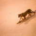 Bild 23