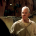 Der Herr der Elfen