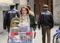 München 7