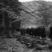 Das Massaker im Arnsberger Wald
