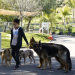 Cesar Millan: Better Human Better Dog - Bessere Menschen, bessere Hunde